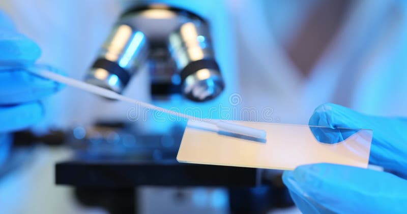 Scientist analyzes smear sample using glass microscope. Scientist chemist inserting cotton swab microbes and viruses