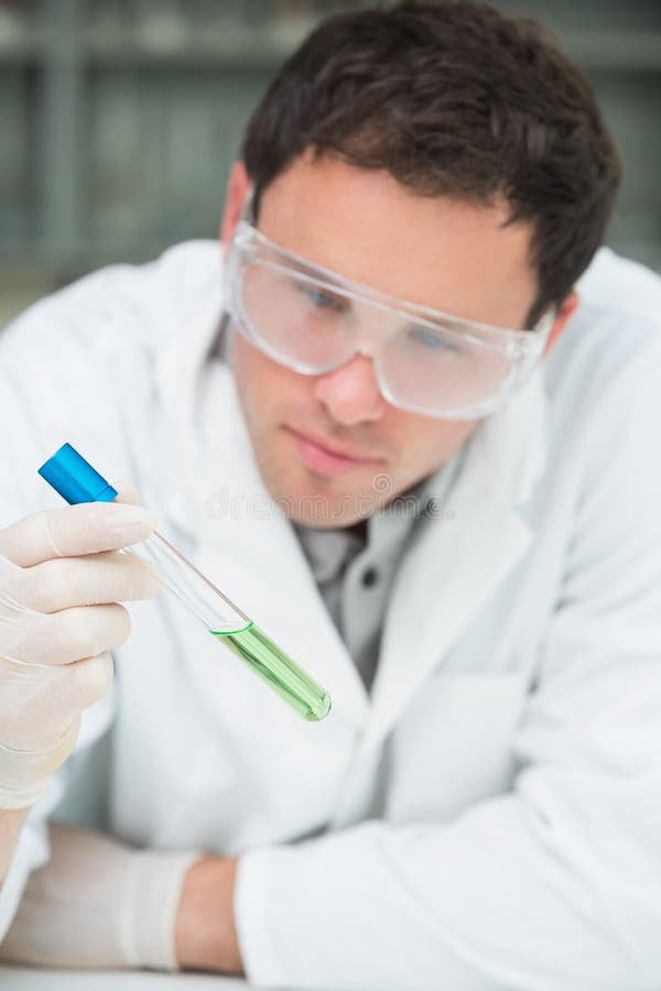 Scientist Analyzing a Leaf at the Laboratory Stock Photo Image of