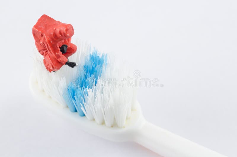 Scientist Checking Bacteria on the Toothbrush Stock Photo Image of