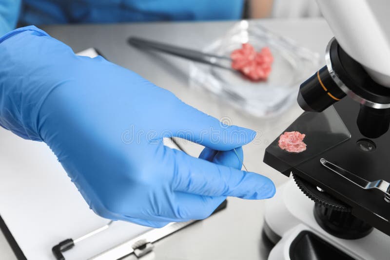 Scientist Checking Meat at Table in Laboratory, Closeup. Quality