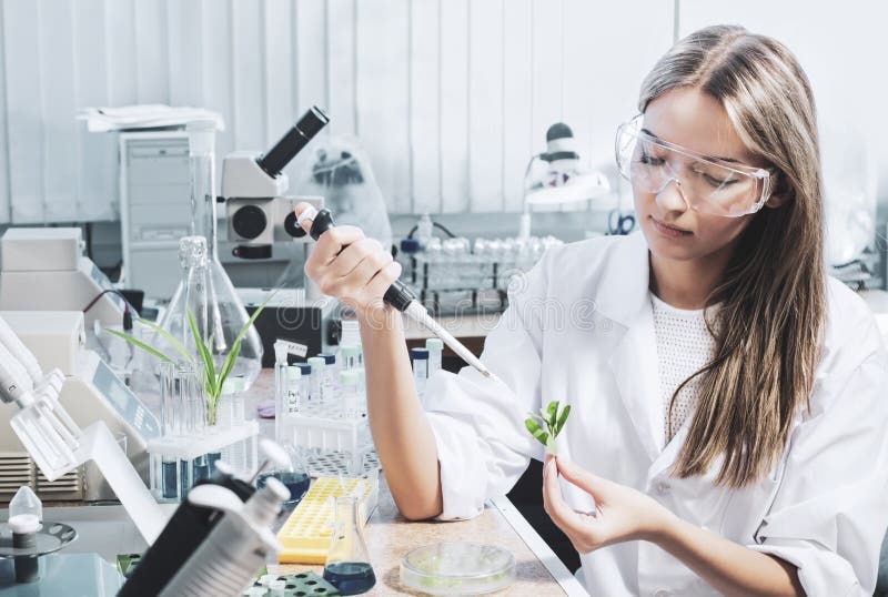 Scientist in Chemical Laboratory Stock Photo Image of equipment