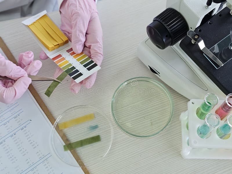 Scientist conducts chemical test using strips and microscope in laboratory stock images