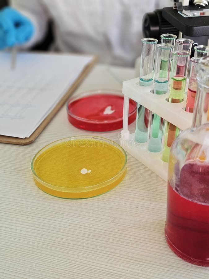 Scientist conducts experiments with colorful liquids in a laboratory stock photo
