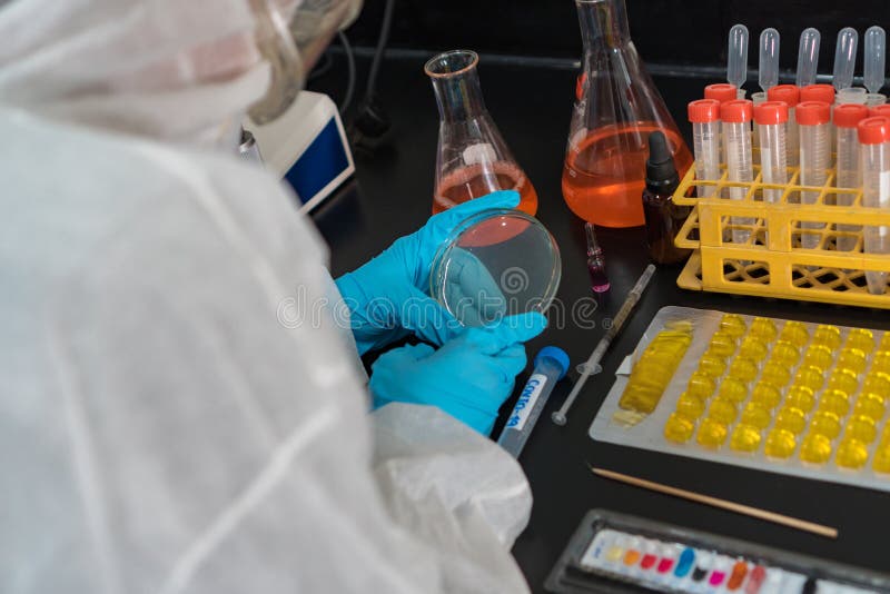 The scientist conducts research in the laboratory royalty free stock images