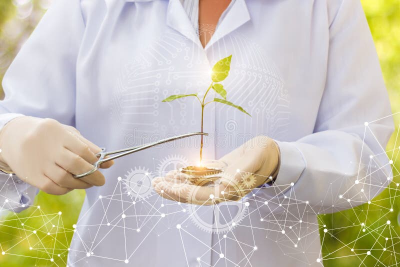 Scientist conducts tests of biotechnology. stock photo