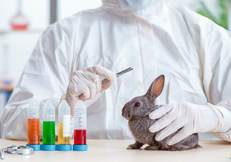 medical research animal testing