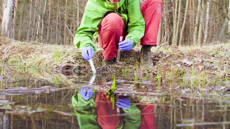 Scientist ecologist in the forest taking samples of water