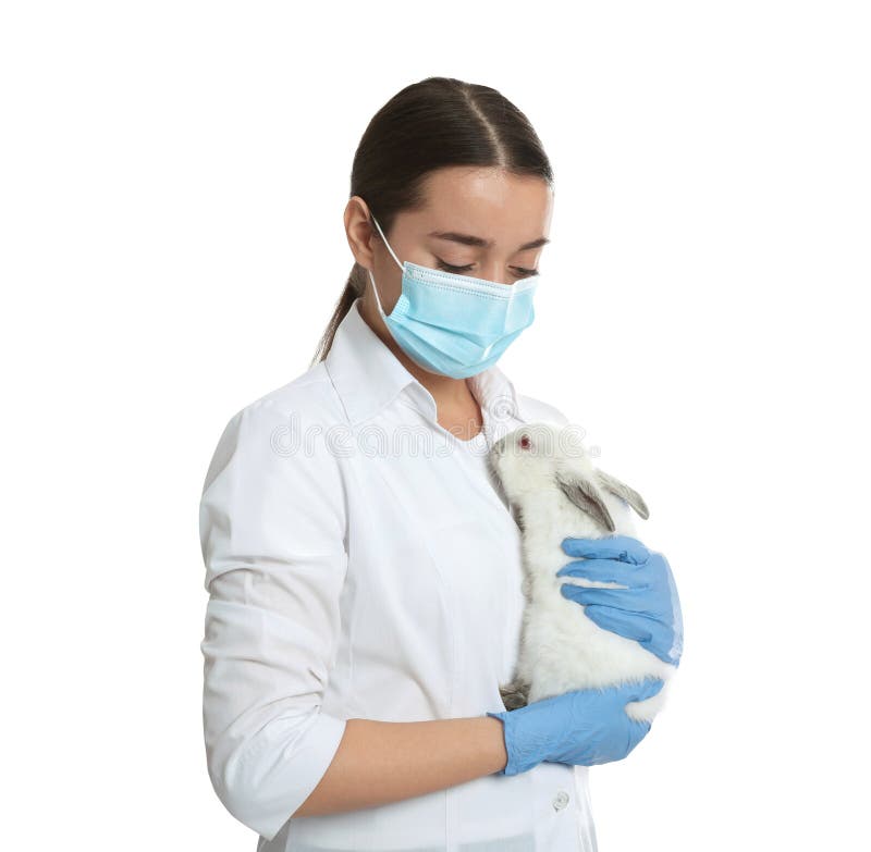 Scientist Holding Rabbit on White Background. Animal Testing Concept Stock Photo Image of
