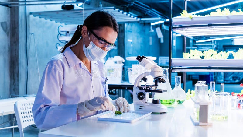 ラスト！激ヤバ実生選抜 【 Loop plants 005 】 検 冰雹 麻花龍 Lost Jane Exotic THCa Flower 4 Grams – Mega Distribution