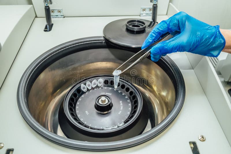 Scientist taking out test tubes with DNA samples from centrifuge royalty free stock photos