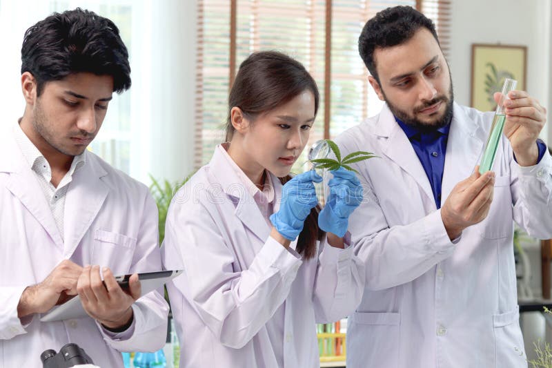 Scientist Team Woman and Man in Lab Coat Doing Experiment with ...