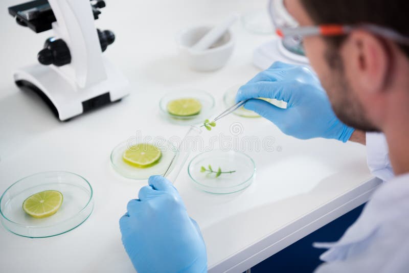 Scientist during Work at Modern Biological Laboratory Stock Image Image of occupation