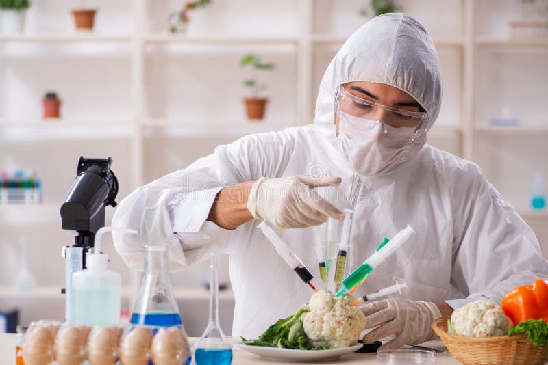 The Scientist Working in Lab on Gmo Fruits and Vegetables Stock Image