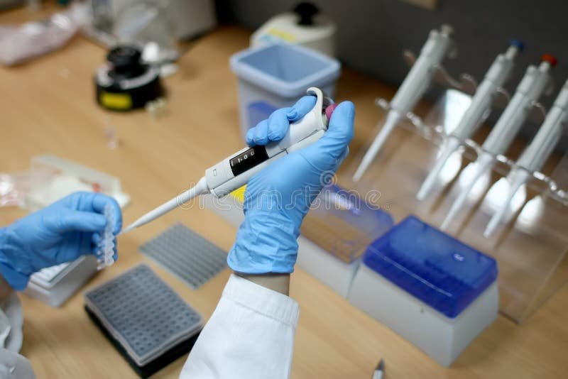 Scientist working at the laboratory stock photo
