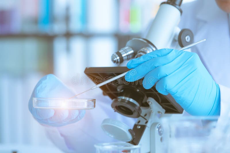 Medical specimens stock image. Image of glass, multicolour 8918883