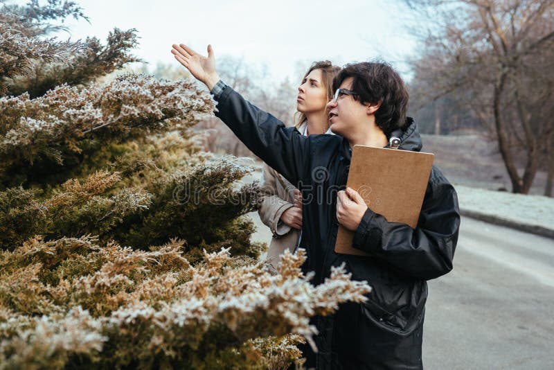 Scientists are studying plant species in the forest. royalty free stock images