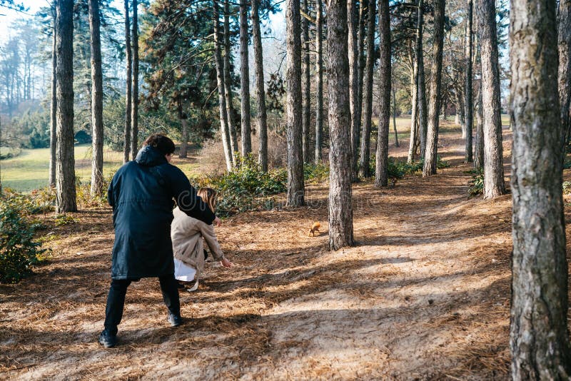 Scientists are studying plant species in the forest. royalty free stock photos