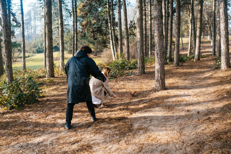 Scientists are studying plant species in the forest. royalty free stock photos