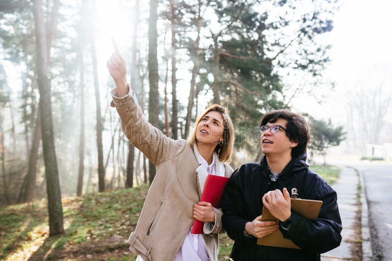 Scientists are studying plant species and inspect trees in the forest. royalty free stock photos