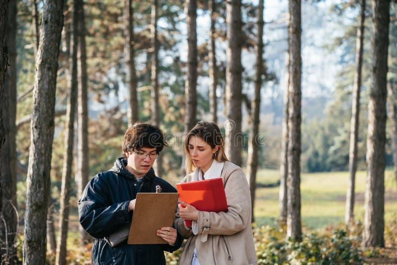 Scientists are studying plant species and inspect trees in the forest. royalty free stock photos