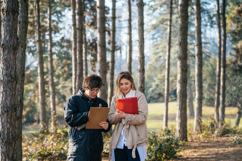 Scientists are studying plant species and inspect trees in the forest. royalty free stock photo
