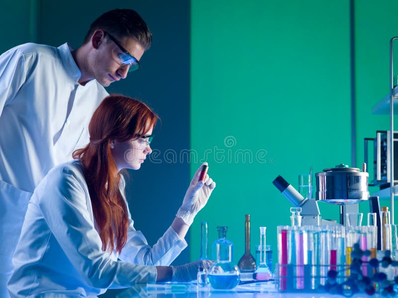 Scienziati legali che studiano una cartuccia fotografia stock libera da diritti Scienziati legali che studiano una cartuccia fotografia stock libera da diritti