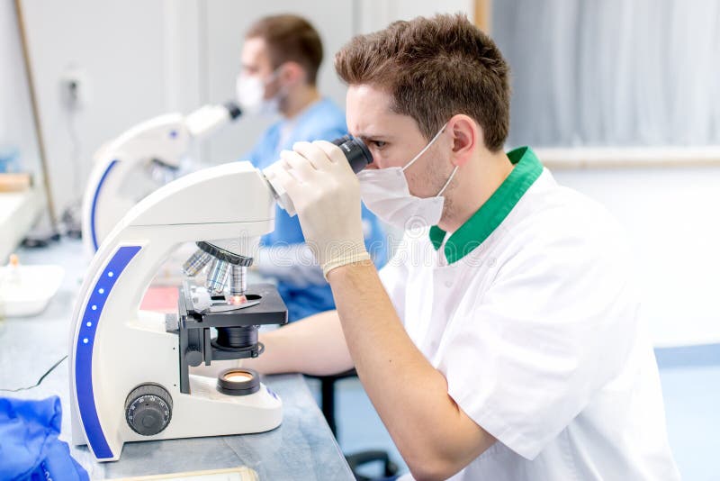 Scienziato ed analizzatore legale che lavorano con il microscopio fotografia stock libera da diritti Scienziato ed analizzatore legale che lavorano con il microscopio fotografia stock libera da diritti