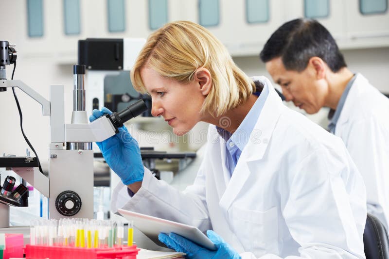 Scienziato femminile che utilizza il computer della compressa nel laboratorio fotografia stock libera da diritti