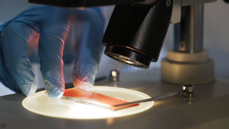 Scienziato medico che studia campione di sangue sotto il microscopio, ricerca biochimica immagini stock Scienziato medico che studia campione di sangue sotto il microscopio, ricerca biochimica immagini stock