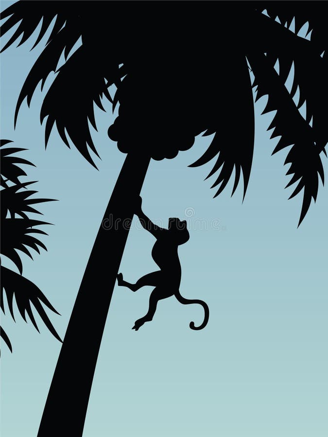Vector illustration of a monkey on a tree. Vector illustration of a monkey on a tree