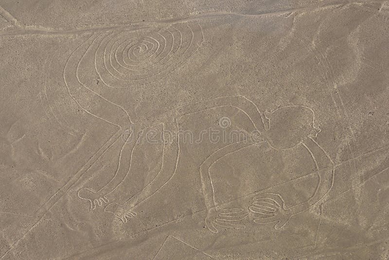 Scimmia, righe di Nazca