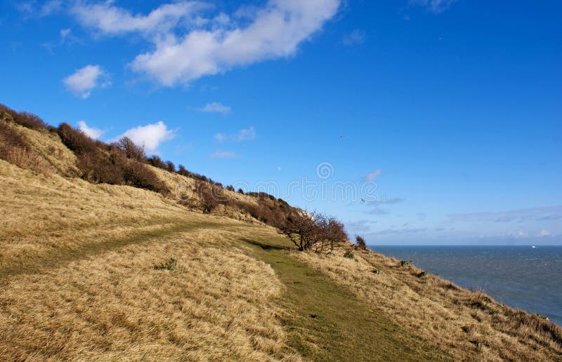 Scogliere Bianche Di Dover Dal Mare Fotografia Stock - Immagine di ...