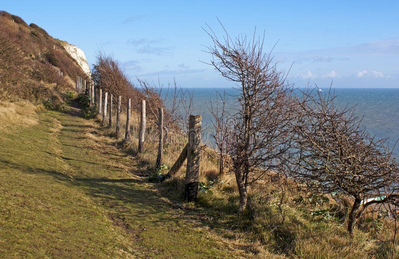 Scogliere Bianche Di Dover Dal Mare Fotografia Stock - Immagine di ...