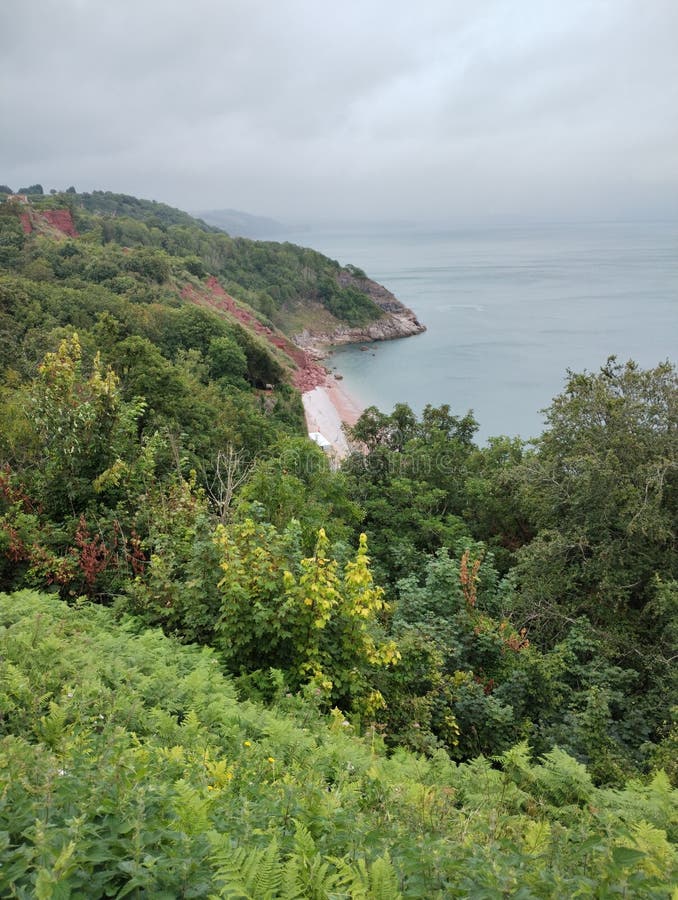 Scogliere da spiaggia di babbacombe che guardano giù fino al mare devon uk immagini stock libere da diritti