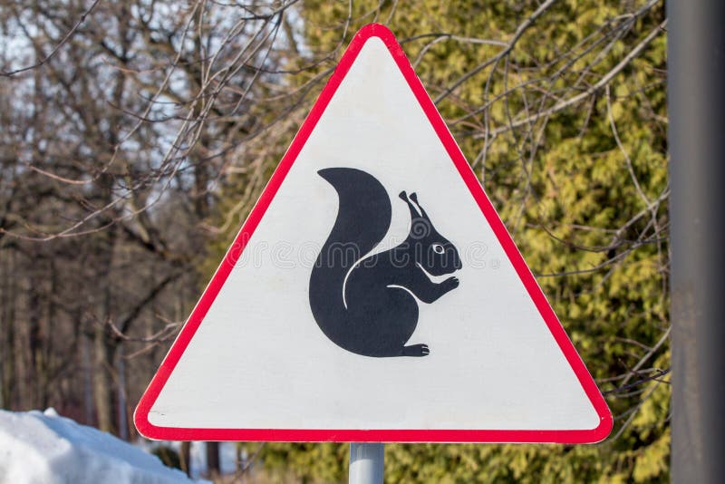 Scoiattoli di cautela - segnale stradale d'avvertimento nel parco immagine stock Scoiattoli di cautela - segnale stradale d'avvertimento nel parco immagine stock