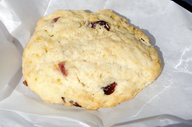 Scone de canneberge photographie stock Scone de canneberge photographie stock
