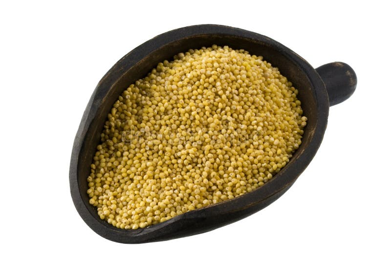 Scoop of Hulled Millet Grain Stock Photo Image of ingredient