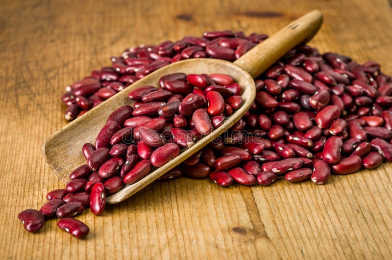 Scoop with kidney beans stock image