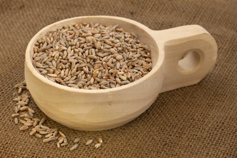 Scoop of grain horse feed stock image. Image of horizontal 10186935