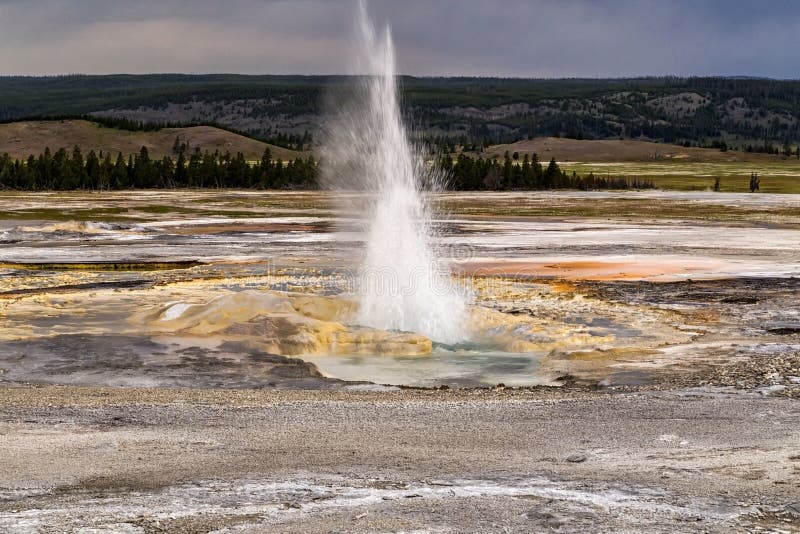 Erupting Clepsydra Geyser in the Lower Geyser Basin in Yellowstone National Park, Wyoming, USA. Erupting Clepsydra Geyser in the Lower Geyser Basin in Yellowstone National Park, Wyoming, USA