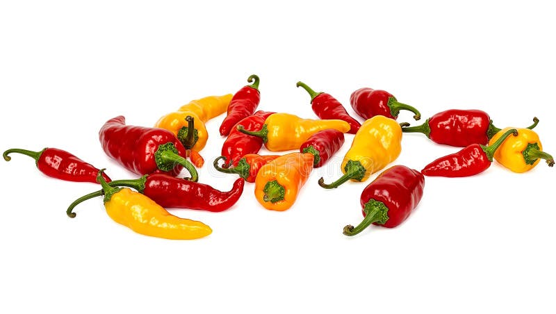 Scoprite la bellezza vivace dei peperoncini vivaci in diverse forme e colori su uno sfondo bianco pulito illustrazione di stock