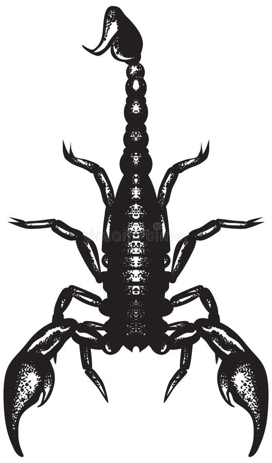 Scorpion icon in simple tattoo style Royalty Free Vector