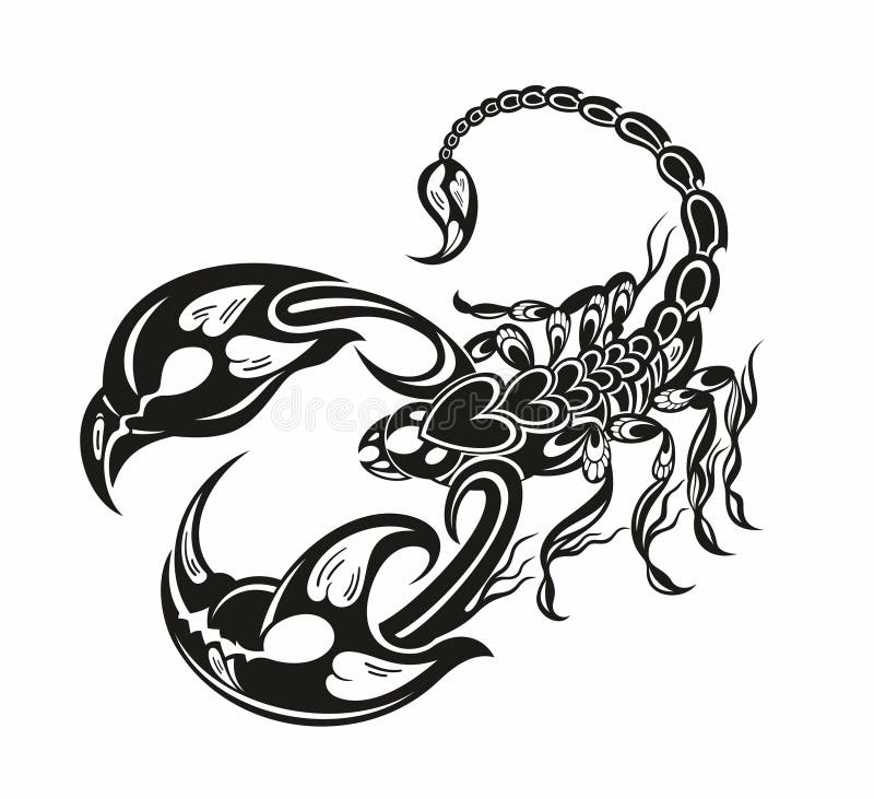 Scorpion stock vector. Illustration of black, scorpion - 32056858