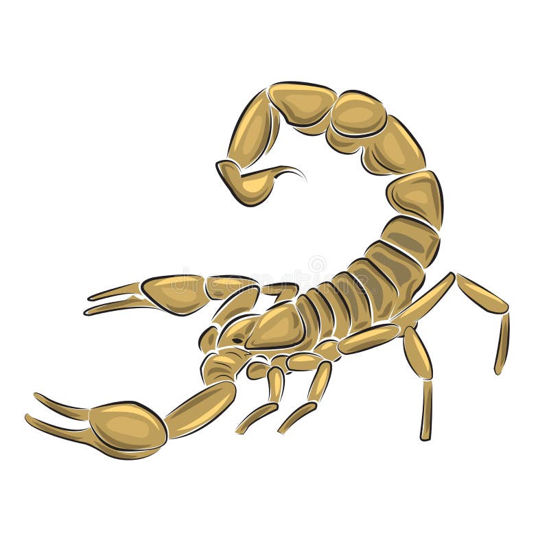 Scorpion Tail White Stock Illustrations – 386 Scorpion Tail White Stock