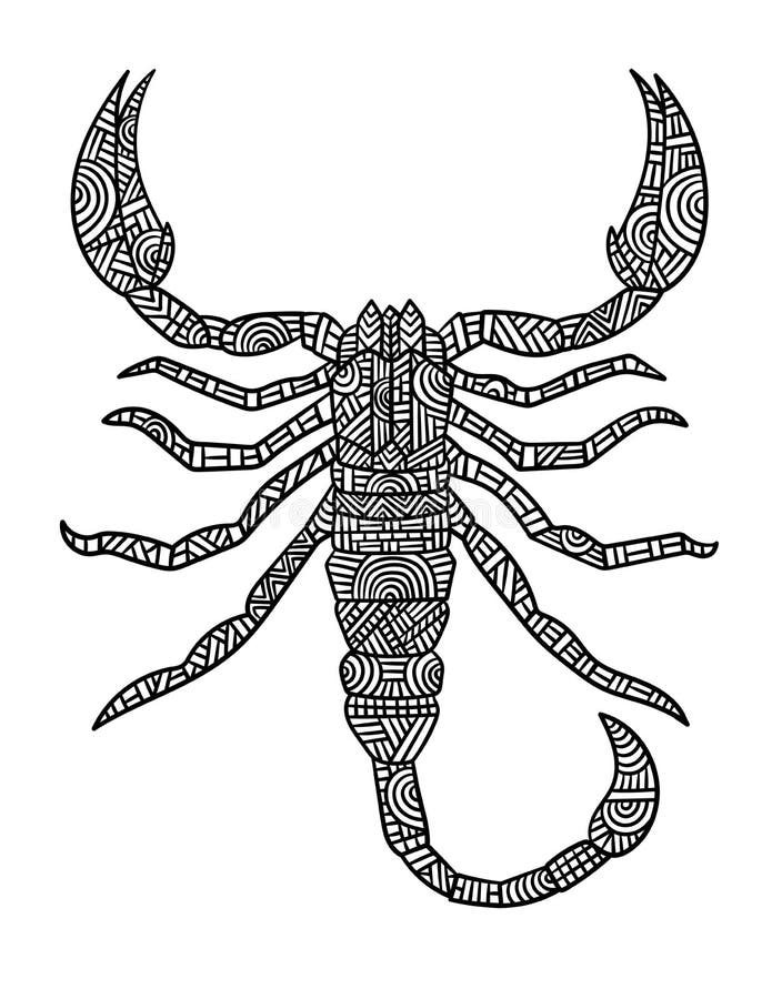 Coloring Page Scorpion Stock Illustrations – 89 Coloring Page Scorpion ...