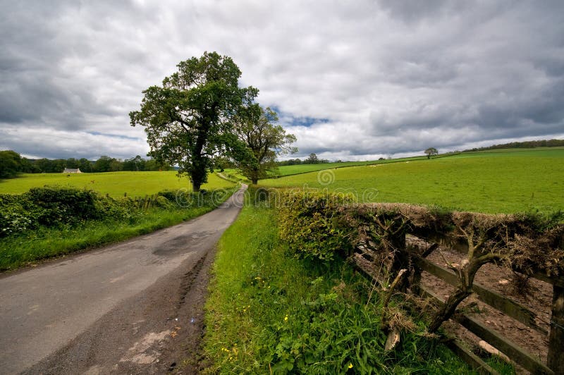 Scottish country side