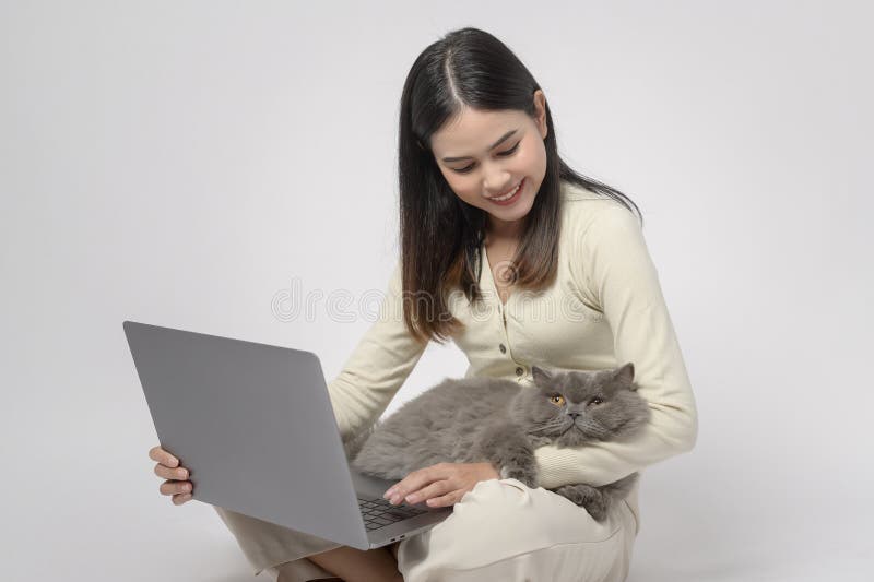 Scottish fold lovely cats lying on  young woman hand while working with laptop computer on white studio background