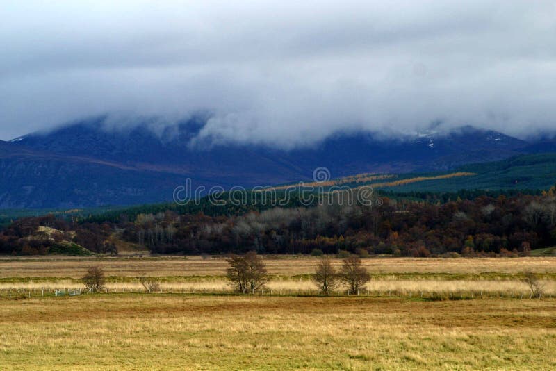 Scottish Landscape