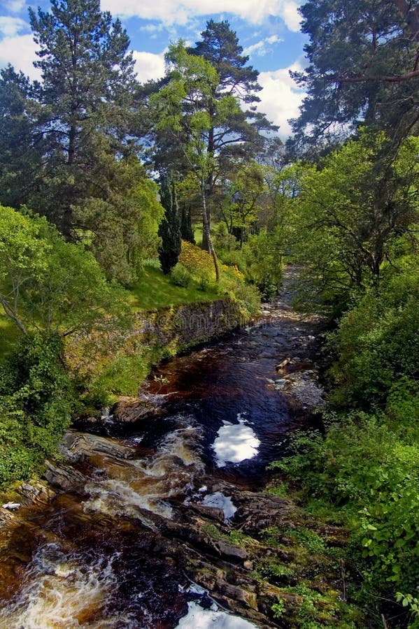 On a scottish riverbank