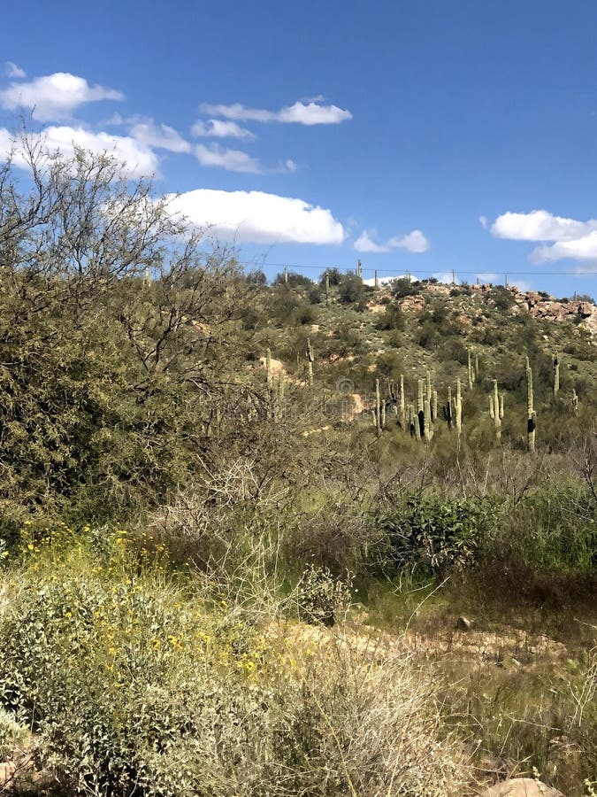 scottsdale arizona scenery scottsdale arizona scenery
